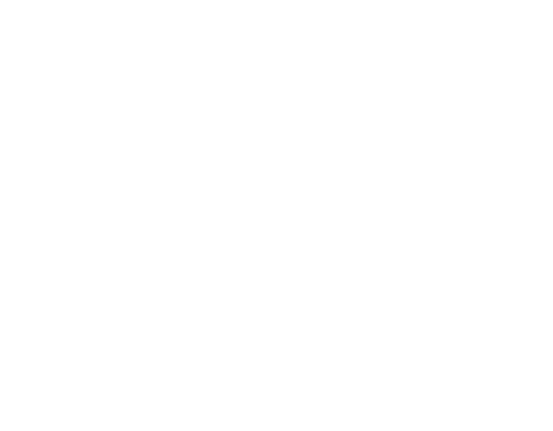 BitcoinWalk Graz — bitcoinwalk on black